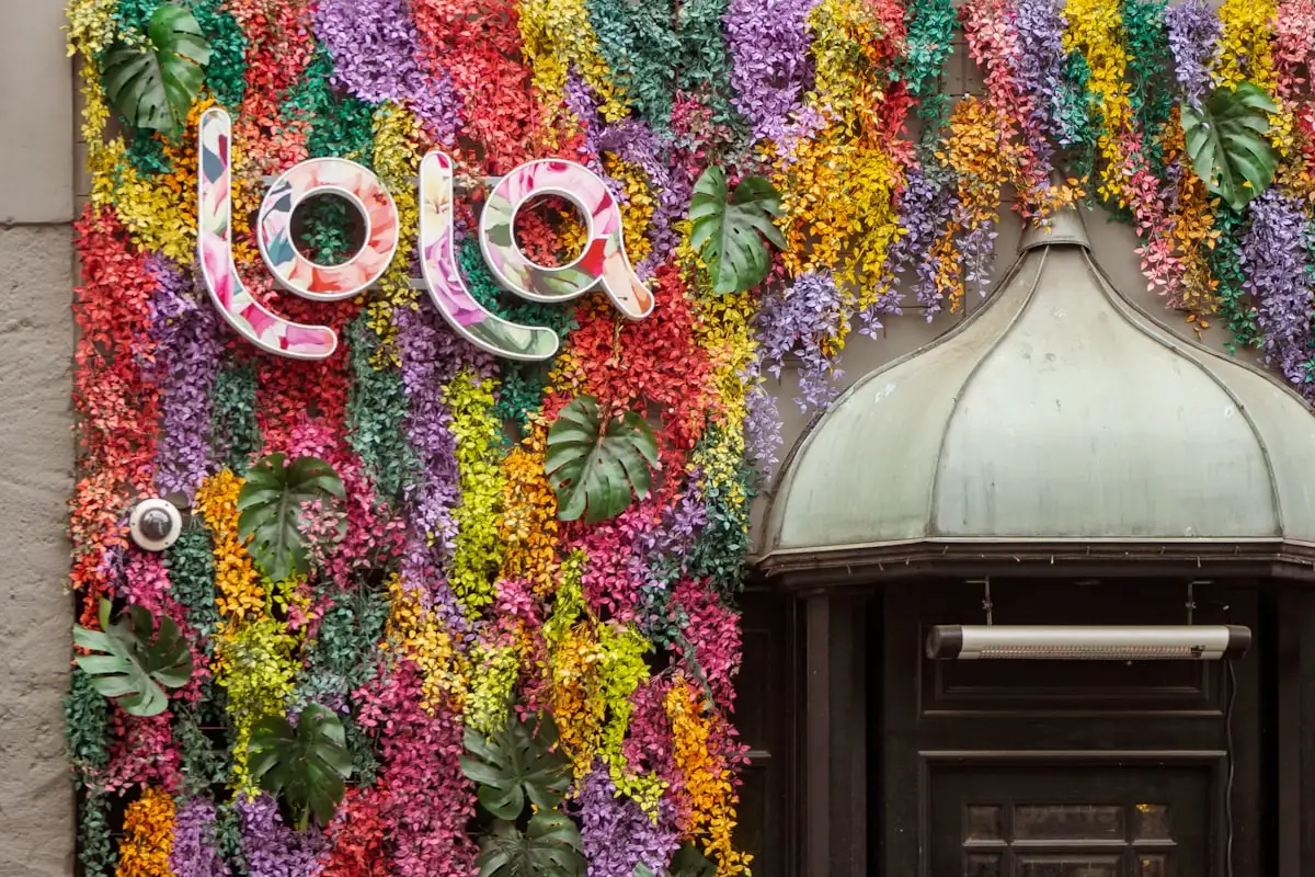 iqoo launched: india